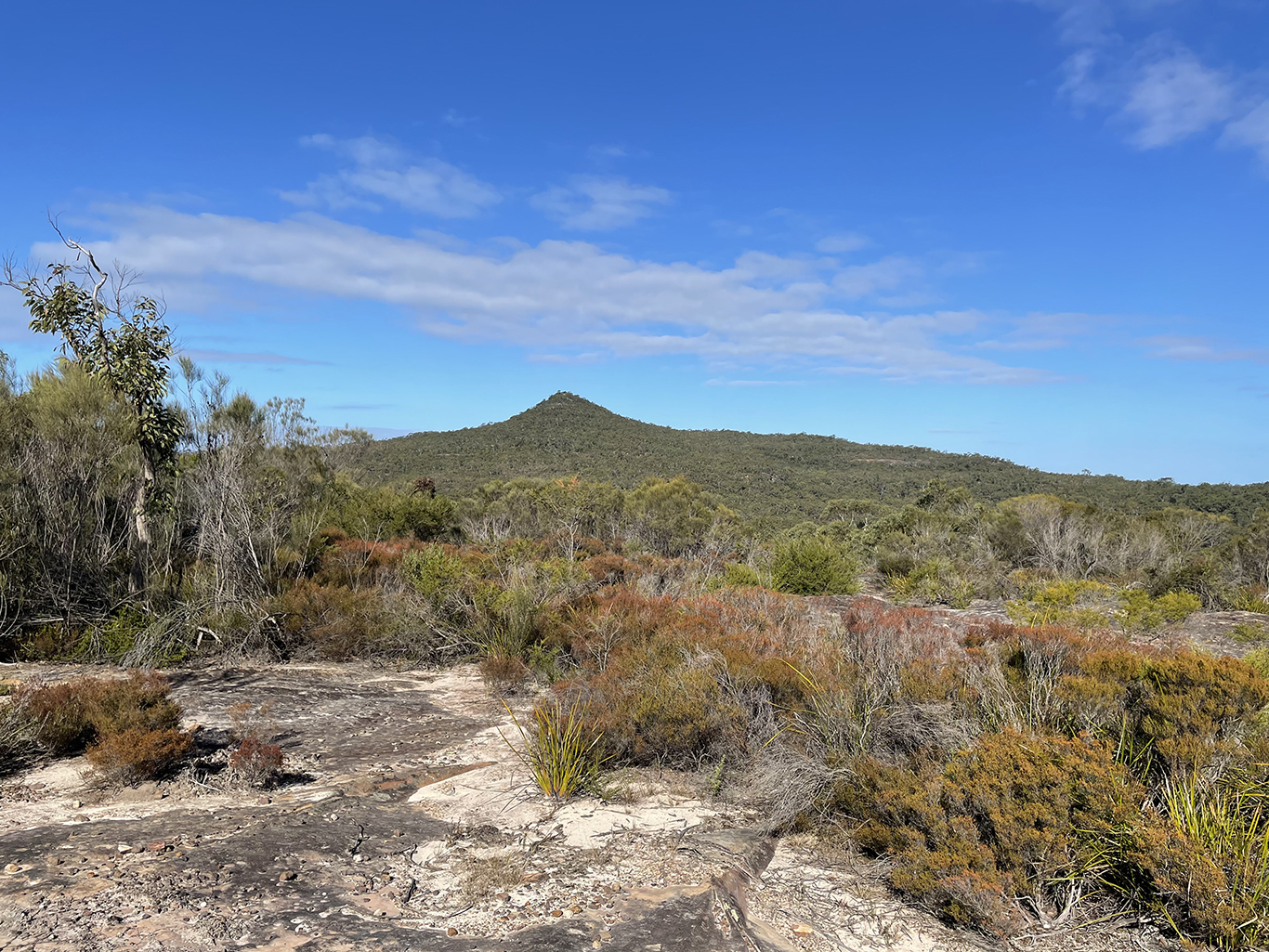 Mt Wondabyne And More 