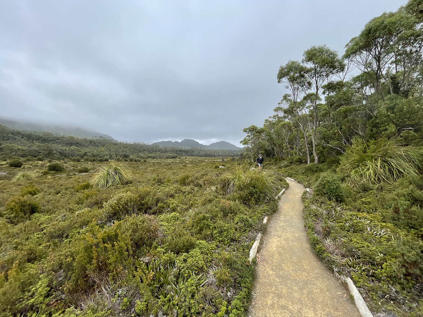 Hartz National Park – Escape and Explore