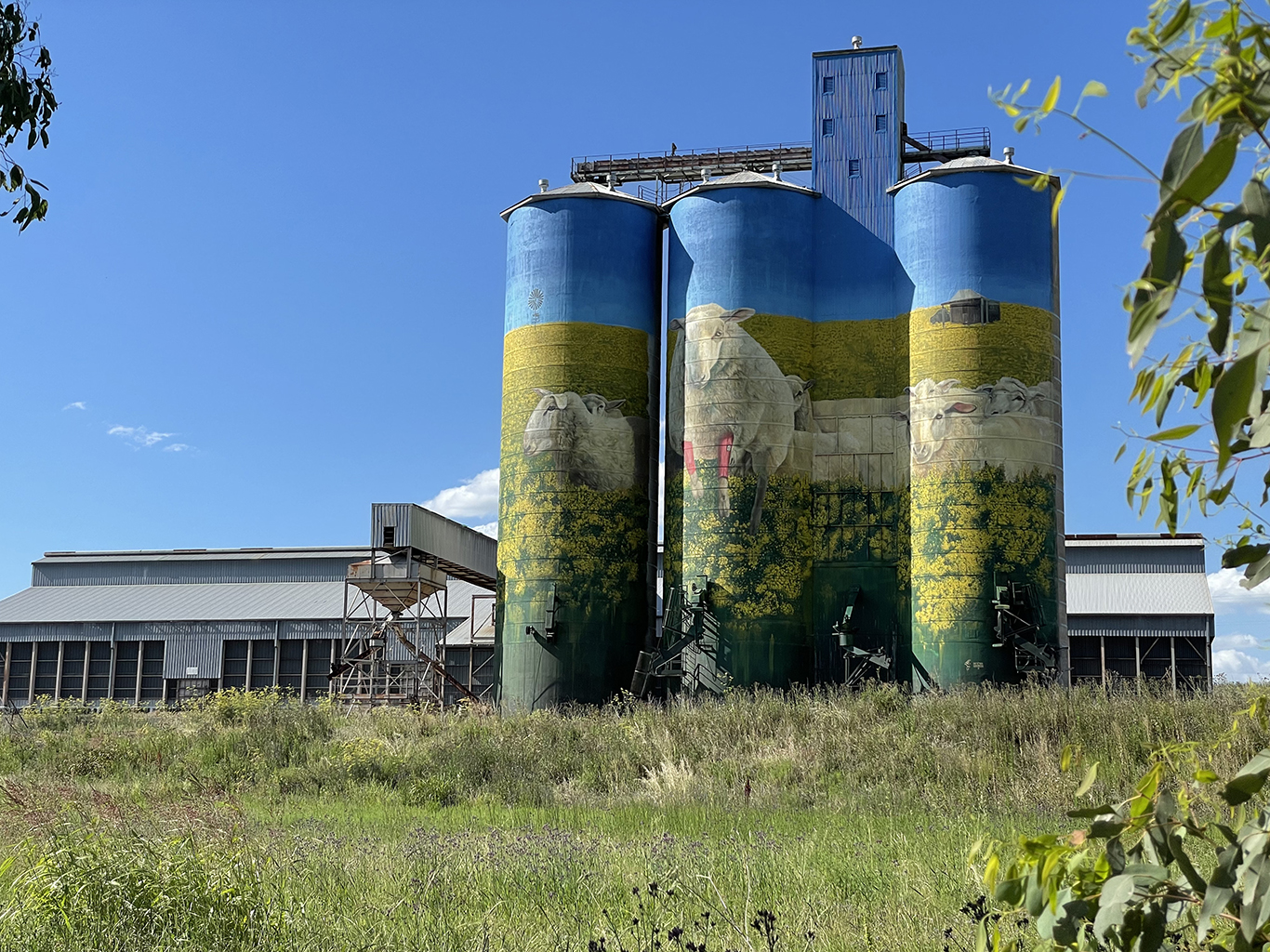 Silo Art – Escape and Explore