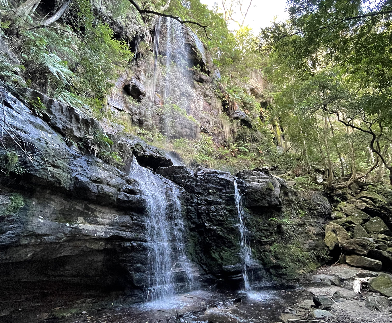 Fairy Bower Falls and Bundanoon Creek via Tooths